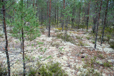 Similar image 21561121