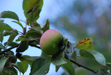 Similar image 21561122