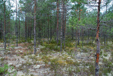 Similar image 21561123