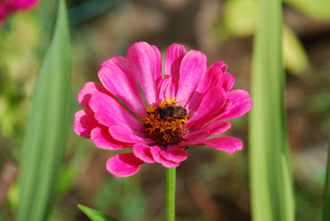 Similar image 21561124