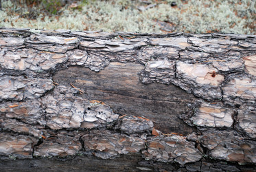 Similar image 21561125