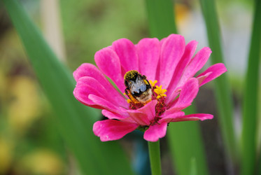 Similar image 21561126