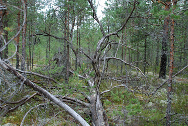 Similar image 21561127