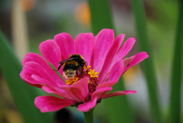 Similar image 21561128