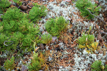 Similar image 21561129