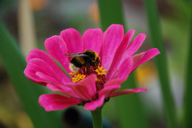 Similar image 21561130