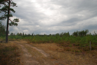 Similar image 21561131