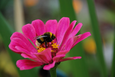 Similar image 21561132