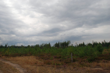 Similar image 21561133