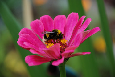 Similar image 21561134