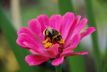 Similar image 21561136