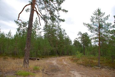 Similar image 21561137