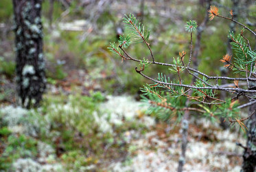 Similar image 21561138