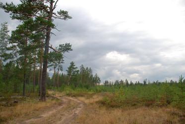 Similar image 21561139