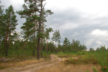 Similar image 21561141