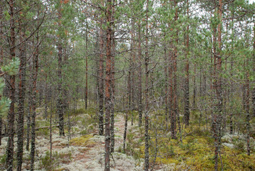 Similar image 21561142