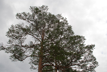 Similar image 21561143