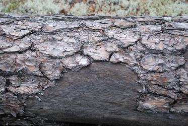 Similar image 21561144