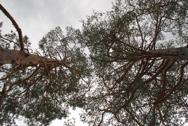 Similar image 21561145