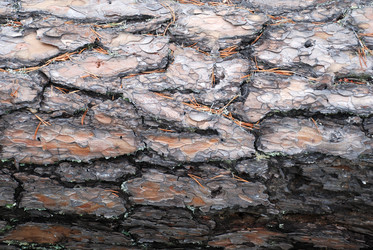 Similar image 21561146