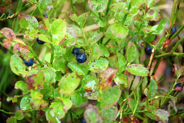 Similar image 21561148