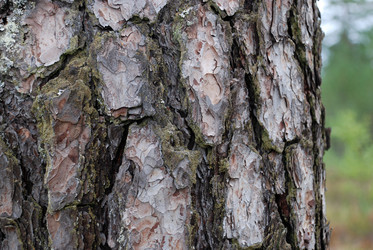 Similar image 21561149