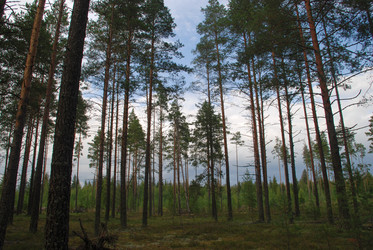 Similar image 21561150