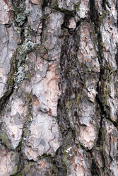 Similar image 21561151