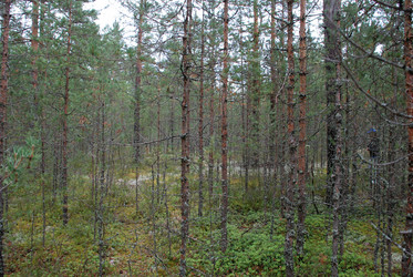 Similar image 21561152