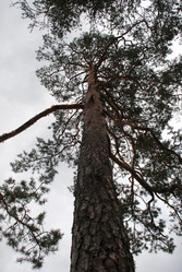 Similar image 21561153