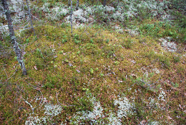 Similar image 21561154