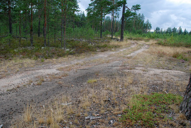 Similar image 21561155