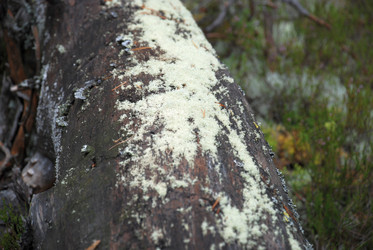 Similar image 21561156