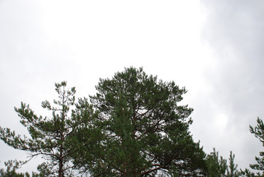 Similar image 21561158