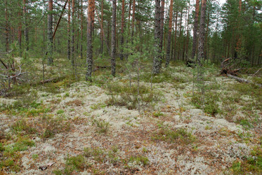 Similar image 21561160