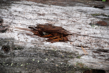 Similar image 21561162