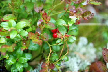 Similar image 21561163