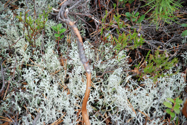 Similar image 21561164