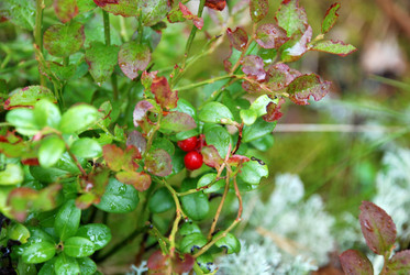 Similar image 21563445