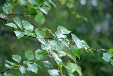 Similar image 21563447