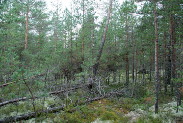 Similar image 21563450