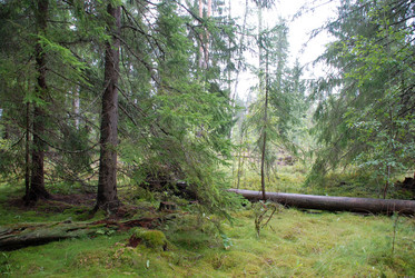 Similar image 21563451