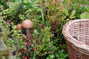 Similar image 21563453