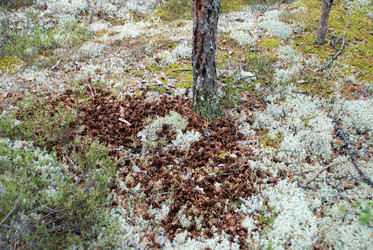 Similar image 21563454