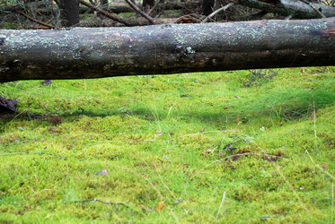 Similar image 21563455