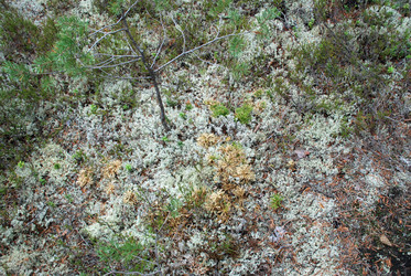 Similar image 21563460