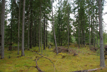 Similar image 21563461