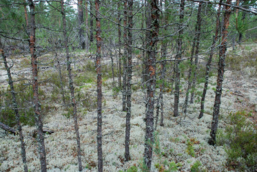 Similar image 21563462