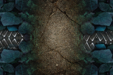 Similar image 21563153