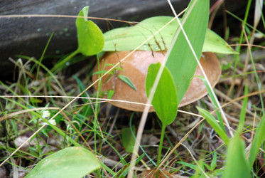 Similar image 21563463